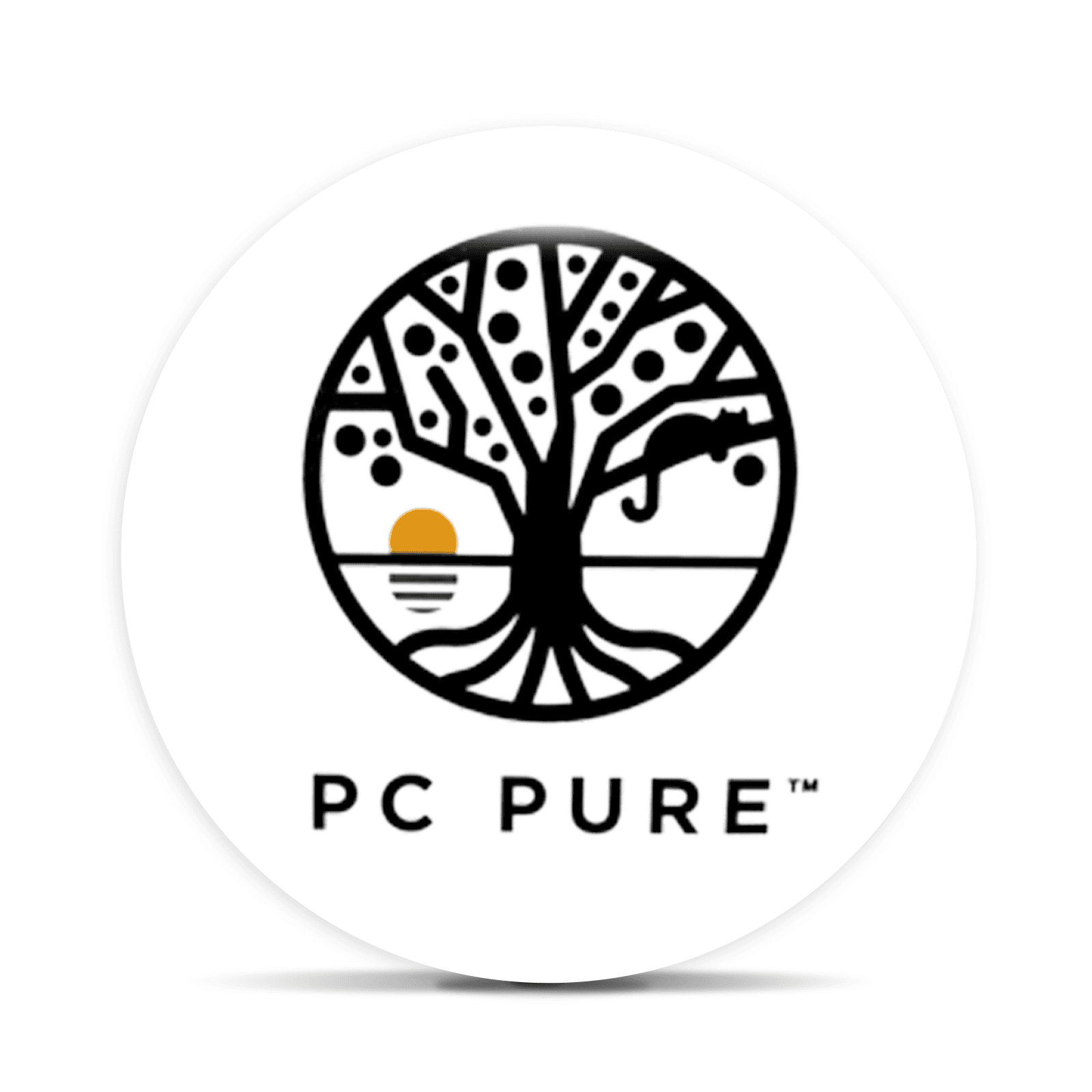 PC Pure