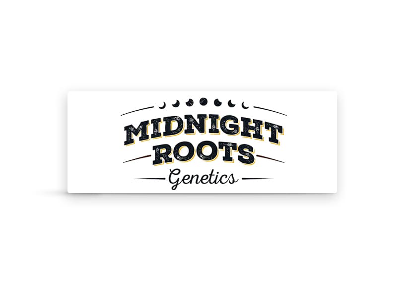 Midnight Roots