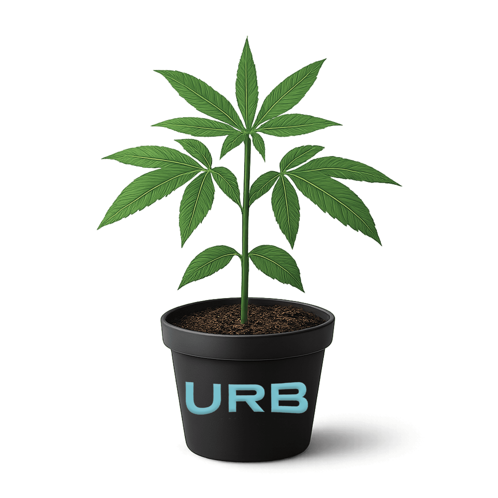 Shop Cannabis Clones in Michigan Cannabis Clones in Michigan